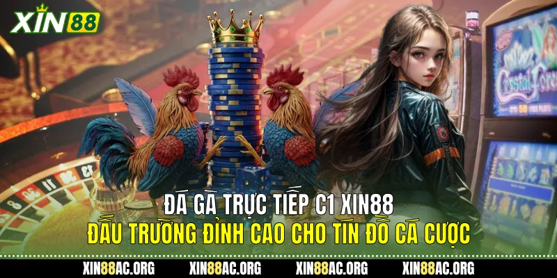 Đá Gà Trực Tiếp C1 Xin88 - Đấu Trường Đỉnh Cao Cho Tín Đồ Cá Cược