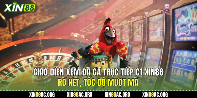 Giao diện xem Đá gà trực tiếp C1 Xin88 rõ nét, tốc độ mượt mà