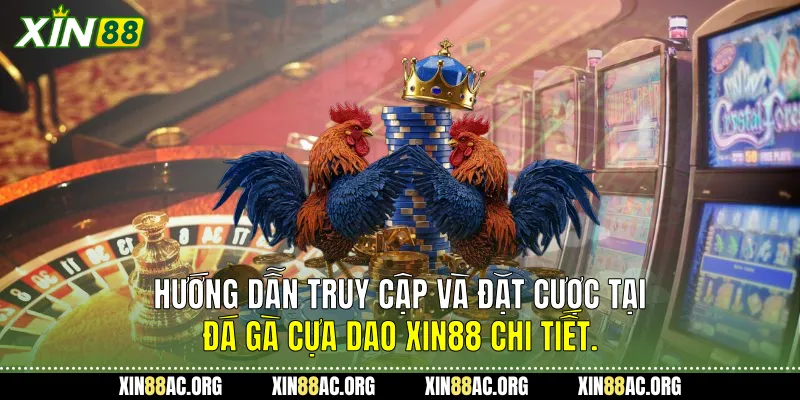 Hướng dẫn truy cập và đặt cược tại Đá gà cựa dao Xin88 chi tiết.
