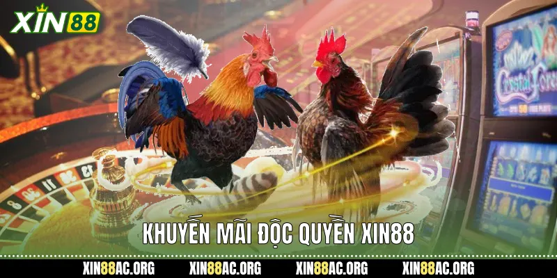 Khuyến mãi độc quyền xin88