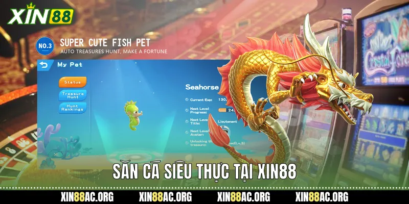 Săn cá siêu thực tại xin88