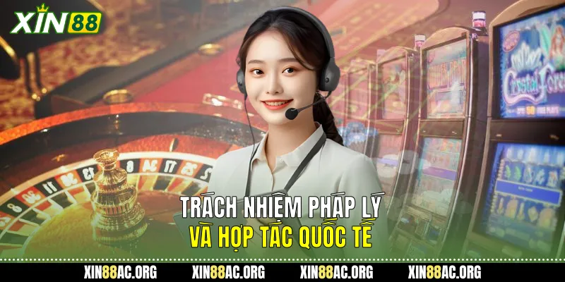 Trách nhiệm pháp lý và hợp tác quốc tế
