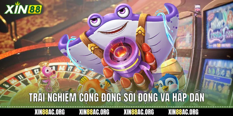 Trải nghiệm cộng đồng sôi động và hấp dẫn.