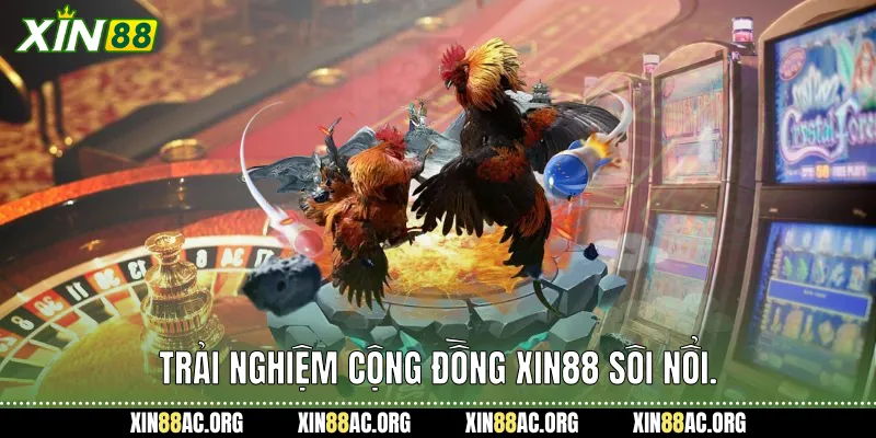 Trải nghiệm cộng đồng Xin88 sôi nổi.