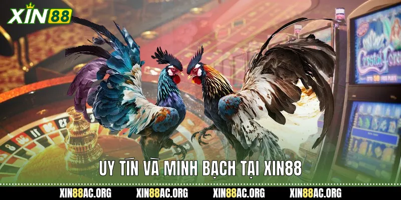 Uy tín và minh bạch tại xin88